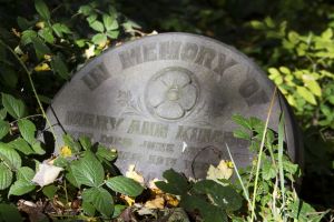 undercliffe mary ann kingdom sm.jpg